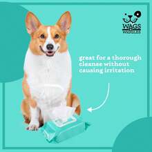 Wags & Wiggles Hypoallergenic Dog Wipes For Sensitive Skin, Fragrance Free Waterless Cleansing Towelettes For Paws Face Body & R - C - Xem 8