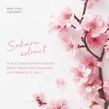 1 件装 50 克 + 50 克 持久留香 LAIKOU 日本樱花啫喱足部护理套装，清洁足部，健康呵护，居家或外出皆宜 - 櫻花 - 查看 10