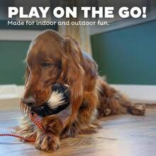 Outward Hound Tail Teaser Interactive Dog Wand Toy With Squeaky Plush Teaser And Crinkle Sounds For Active Play, Multicolored - MàuB - Xem 4