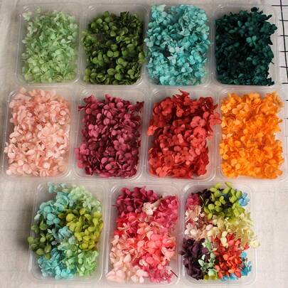 现货热销天然高品质干绣球花