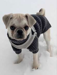 Gray Waffle Dog Knit Sweater, Foldable High Neck Ribbed Cuffs, Thick Warm Washable - Grey - View 3