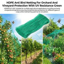 HDPE Anti Bird Netting For Orchard And Vineyard-Protection With UV Resistance Green - Bird Netting - View 8