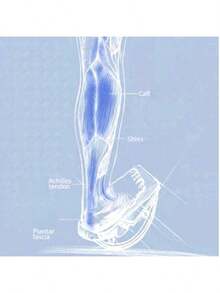 Stretching Board, Calf Stretcher, Incline Stepper, Fitness Equipment, Aerobic Exercise Equipment, Achilles Tendon And Ankle Stretcher, Home Stretching Roller - Multicolor - View 6