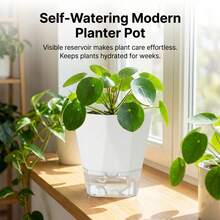 26.5cm Resin Self Watering Planter For Spider Plant And Pothos Hydroponic Use Durable Lightweight Material Optimized Root Growth - Self-absorbing Flower Pot - View 1