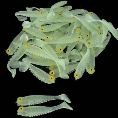 Pack Of 5 Glow-In-The-Dark Fishing Baits, Soft Plastic Swimming Baits, Pre-Loaded With Hooks. Green Glow-In-The-Dark Swimming Baits Suitable For Freshwater Or Saltwater Use. Used For Night Fishing For Bass, Black Bass, And Trout.
