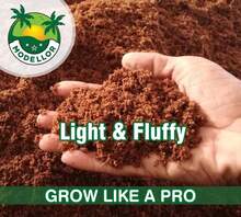 MODELLOR (10 Lb) Premium Super Washed Coco Coir Brick, High Yield 18 To 20 Gallons, Seed Starter, Organic, PH Balanced, Gardening, Indoor, Outdoor Use - trắng - Xem 3
