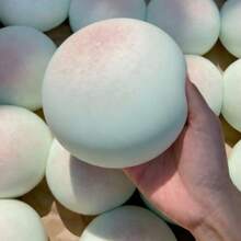 1个 - 2026新款超柔软粘稠芋泥麻糬减压捏捏乐玩具，互动玩具，适合朋友、家人，热销产品，生日、聚会、男女皆宜的完美礼物 - 彩色 - 查看 5