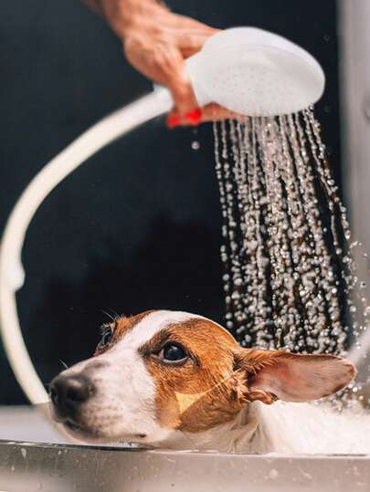 Grifo portátil de ducha, ducha multifunción con manguera de goma, fácil de instalar, accesorio versátil de ducha para lavabo, apto para lavabo de baño y conexión de manguera de jardín, para champú, baño de mascotas, baño de autocaravana y uso doméstico, ideal para ducha al aire grifo redondo, también una excelente opción de regalo para días festivos