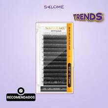 Curvatura C - C - Ver 2