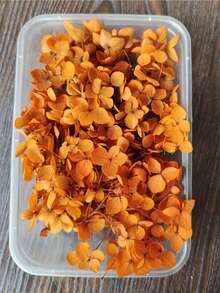 现货热销天然高品质干绣球花 - 繡球花瓣 - 查看 19