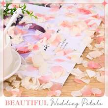 现货热销天然高品质干绣球花 - 繡球花瓣 - 查看 8