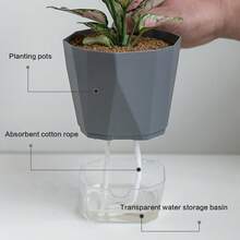 26.5cm Resin Self Watering Planter For Spider Plant And Pothos Hydroponic Use Durable Lightweight Material Optimized Root Growth - Self-absorbing Flower Pot - View 9