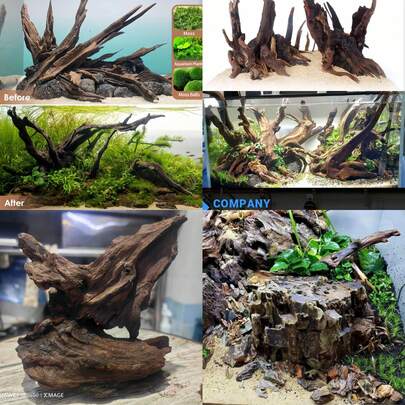 1pc 20-25cm Natural Driftwood Coral Decor - Realistic Reptile And Amphibian Habitat With Climbing Branches, Turtle Nesting Platform, And Freshwater Or Saltwater Aquarium Decoration, Natural Appearance, Wood (Driftwood Is In Natural Shape, Manual Measurement May Differ 5-10cm, Please Soak In Clean Water For Hours And Boil In Hot Water For Half An Hour Before Use)