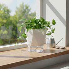 26.5cm Resin Self Watering Planter For Spider Plant And Pothos Hydroponic Use Durable Lightweight Material Optimized Root Growth - Self-absorbing Flower Pot - View 5