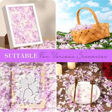 现货热销天然高品质干绣球花 - 繡球花瓣 - 查看 11