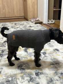 Gray Waffle Dog Knit Sweater, Foldable High Neck Ribbed Cuffs, Thick Warm Washable - Grey - View 7