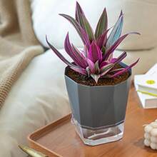 26.5cm Resin Self Watering Planter For Spider Plant And Pothos Hydroponic Use Durable Lightweight Material Optimized Root Growth - Self-absorbing Flower Pot - View 6