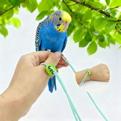 1pc All-Season Elastic Non-Damaging Parrot Flying Leash, Ultra-Light Training Tether With Foot Ring, Suitable For Outdoor Bird Play