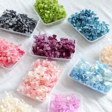 现货热销天然高品质干绣球花 - 繡球花瓣 - 查看 4