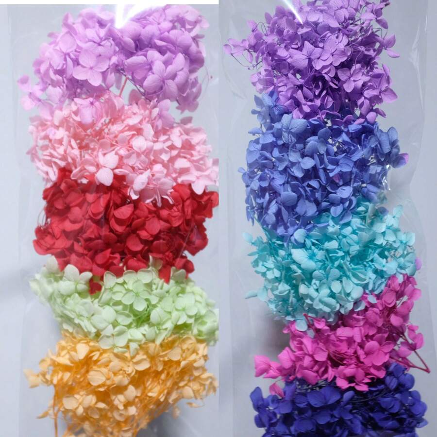 现货热销天然高品质干绣球花