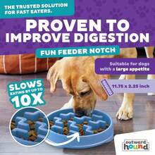 Outward Hound Fun Feeder Slo Bowl, Large Slow Feeder Dog Bowl, 4 Cups, Blue (Pack Of 6) - ColorA - 查看 3