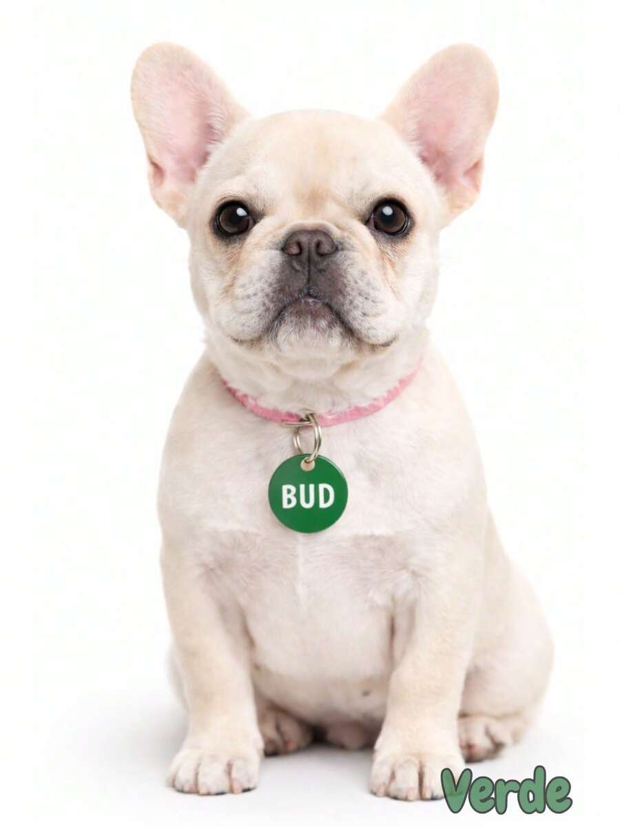 Personalized Pet ID Tag For Dogs And Cats, Laser Engraved On Metal And MDF. - Verde - View 1