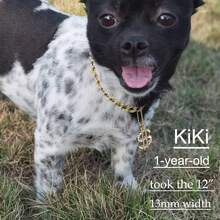 Adjustable Pet Necklace, Versatile Luxury Pet Collar, Hip-Hop Cuban Link Design With Small Dollar Pendant, Fashionable For Small, Medium And Large Dogs - Multicolor - View 7