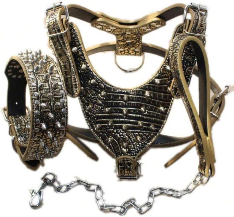 Serijoars Leather Spiked Dog Harness And Collar Set - Suitable For Large Breeds Pit Bull Terriers, Labradors, Dobermans - Durable Leather Harness And Collar Leash 3Pcs Set (Studs Gold Brown, XL) - ColorJ - 查看 1
