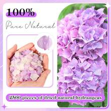 Hydrangea Dried Flower DIY Wreath, Suitable As Handmade Gift - Dried Hydrangea Petals - View 5