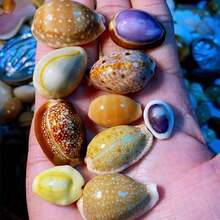 7-Style Box Of Cowrie Shell Beads - Seashell Shells For DIY Jewelry Making, Ocean-Themed Christmas Ornaments, Wind Chime Charms, Scrapbooking Embellishments & Nautical Craft Kits (Bracelet & Necklace Beads) - 7 Styles - View 8