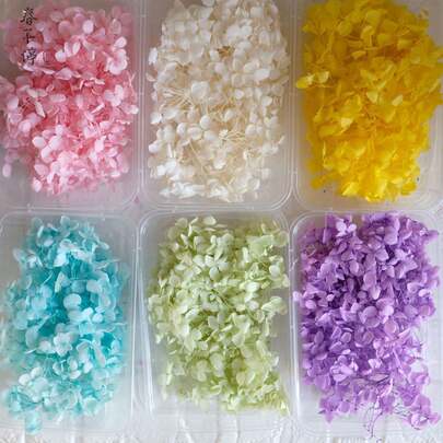 现货热销天然高品质绣球干花，5克/盒，多色混合永生花DIY工艺材料，适用于树脂、蜡烛、相框装饰，ins风彩色绣球花瓣，适用于家居装饰、婚礼、剪贴簿、香囊、蜡烛、手机壳装饰，创意手工必备材料！