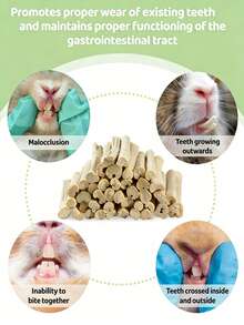 100g Sweet Bamboo Chew Sticks | Small Animal Chew Treats And Toys, Suitable For Rabbits, Chinchillas, Guinea Pigs, Squirrels And Hamsters - View 7