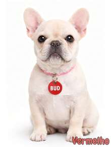 Personalized Pet ID Tag For Dogs And Cats, Laser Engraved On Metal And MDF. - Red - View 1