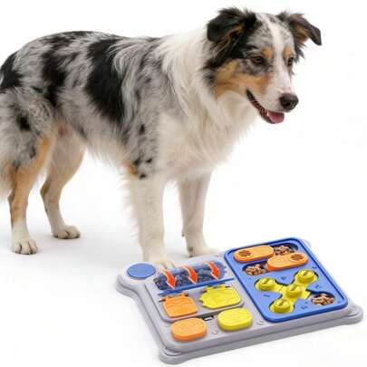 互动式慢食喂食器，适用于室内宠物训练，刺激智力发育，提高注意力。