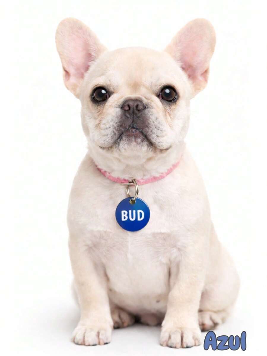 Personalized Pet ID Tag For Dogs And Cats, Laser Engraved On Metal And MDF. - Blue - View 1