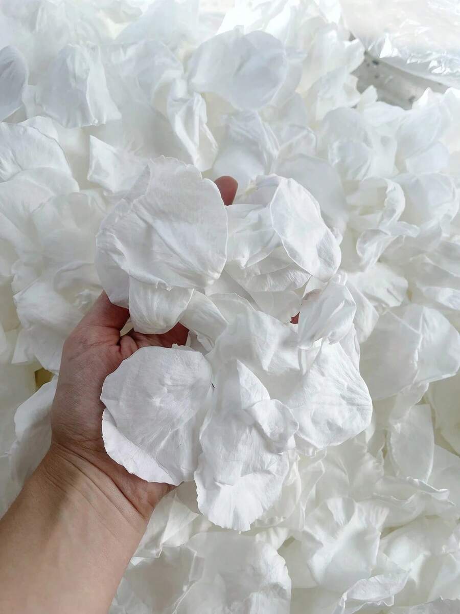 10/50/100g Freeze Dried Rose Petals, Ivory, REAL Rose Petals, Perfectly Preserved. And - White - View 1