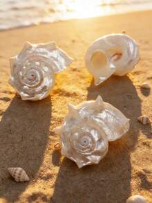 1pc Natural Seashell Pendant, Suitable For DIY Jewelry Making And Decoration, Can Be Used For Necklace, Earrings, Keychain - Conch - View 3