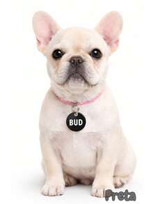 Personalized Pet ID Tag For Dogs And Cats, Laser Engraved On Metal And MDF. - 黑色 - 查看 2