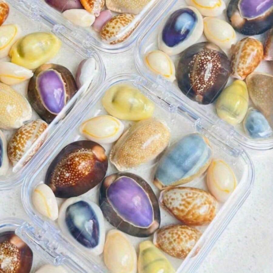 7-Style Box Of Cowrie Shell Beads - Seashell Shells For DIY Jewelry Making, Ocean-Themed Christmas Ornaments, Wind Chime Charms, Scrapbooking Embellishments & Nautical Craft Kits (Bracelet & Necklace Beads) - 7 Styles - View 1
