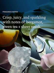 Living Proof 236毫升多用途护发素，质地轻盈柔滑，令秀发柔顺细腻，快速吸收不油腻，丰盈弹润，柔软滋养，日常护发，236毫升/8.0液盎司 - 236mL - 查看 6