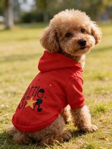 Red Little Star Print Pet Clothes, Festive Pet Apparel For Teddy And Small/Medium Dogs - Red - View 3