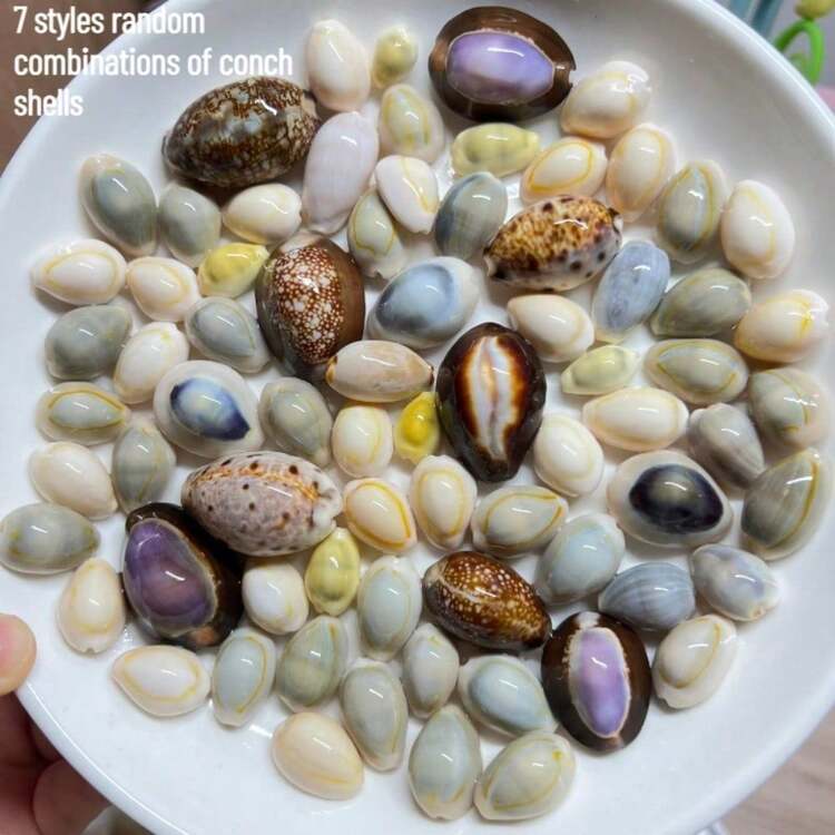 7-Style Box Of Cowrie Shell Beads - Seashell Shells For DIY Jewelry Making, Ocean-Themed Christmas Ornaments, Wind Chime Charms, Scrapbooking Embellishments & Nautical Craft Kits (Bracelet & Necklace Beads) - 7 Styles - View 6