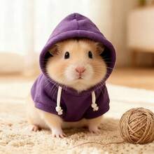 1pc Small Pet Clothing, Warm Pet Outfit, Suitable For Small Pets And Reptiles Daily Wear - Multicolor - View 4