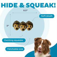 Outward Hound Squeakin' Hedgiez Plush Replacement Dog Toys - 3 Pack - Màu E - Xem 2
