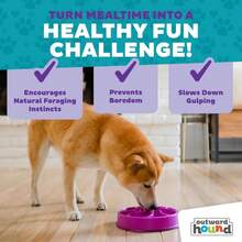 Outward Hound Fun Feeder Slo Bowl, Large Slow Feeder Dog Bowl, 4 Cups, Purple (Pack Of 6) - ColorD - 查看 6