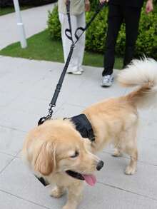 1 套迷彩战术宠物背带和牵引绳套装，带口袋、可调节项圈和胸围，适合中型/小型战术犬 - 彩色 - 查看 10