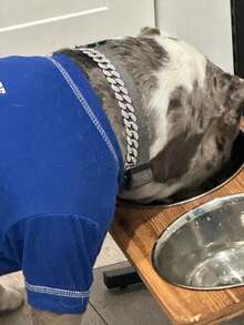 15mm Luxury Pet Necklace, Adjustable Hip Hop Dog Collar With Rhinestone Inlaid Cuban Chain, Sturdy And Suitable For All Body Types - Multicolor - View 4