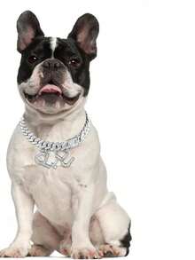 Collar ajustable para mascotas, collar de lujo para mascotas elegante y chic, diseño de collar de perro con estilo hip-hop con cadena cubana y colgante con letra - Multicolor - Ver 14