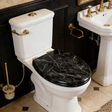 1个黑色高端大理石纹马桶盖，家用通用马桶盖，马桶座圈，卫生间配件，浴室配件，坚固耐用，易于安装，家用马桶盖板适用于大多数型号，42.5*36厘米，适用于家庭、民宿和酒店等场所。 - C - 查看 1