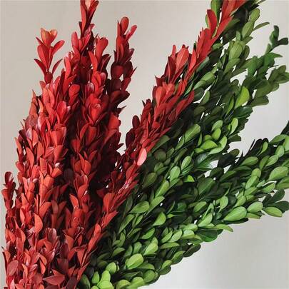 80-90g Boxwood Preserved Flowers, Suitable For Wedding, Party, DIY Flower Rings, Bouquets, Envelope Decorations, Various Flower Arrangements, Preserved Flower Gift Box, Home Floral Decor, Photography Props